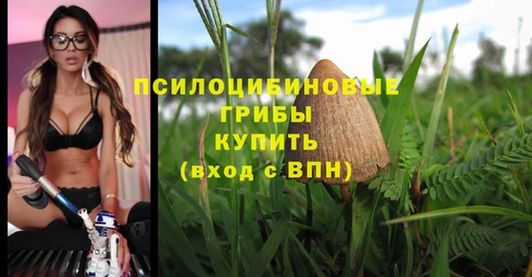 трава Лихославль