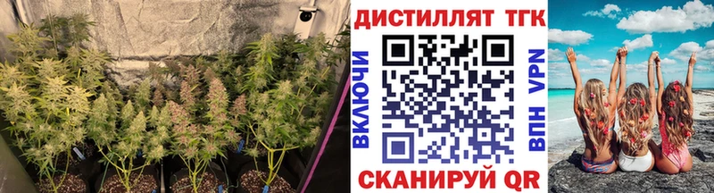 ТГК вейп с тгк  Нариманов 