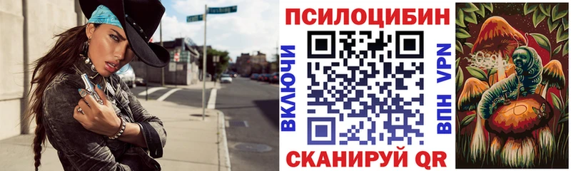 мориарти как зайти где купить наркоту Нариманов Псилоцибиновые грибы Psilocybe
